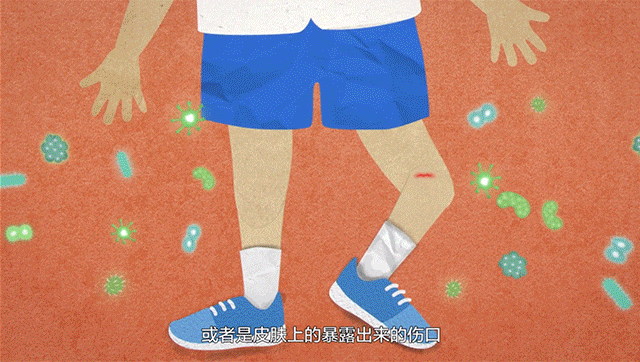 小学英语教学管理_小学英语教学常规管理_英语小学教学管理工作总结