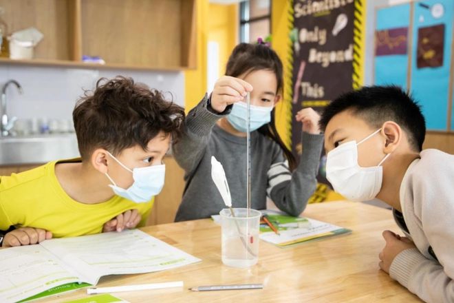教育观察朝阳小学英语_小学英语教学观察_朝阳区小学英语教材版本