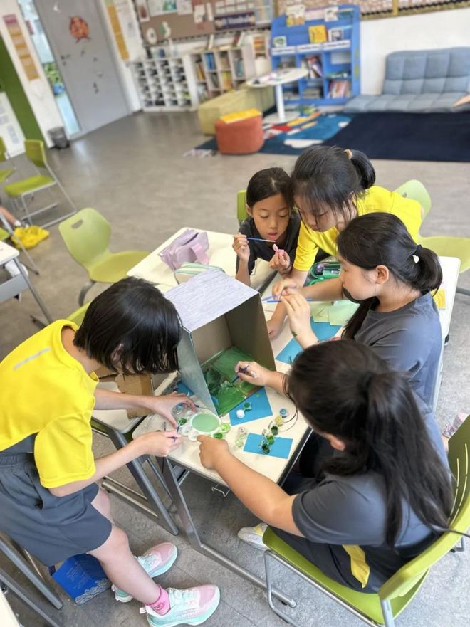 朝阳区小学英语教材版本_小学英语教学观察_教育观察朝阳小学英语