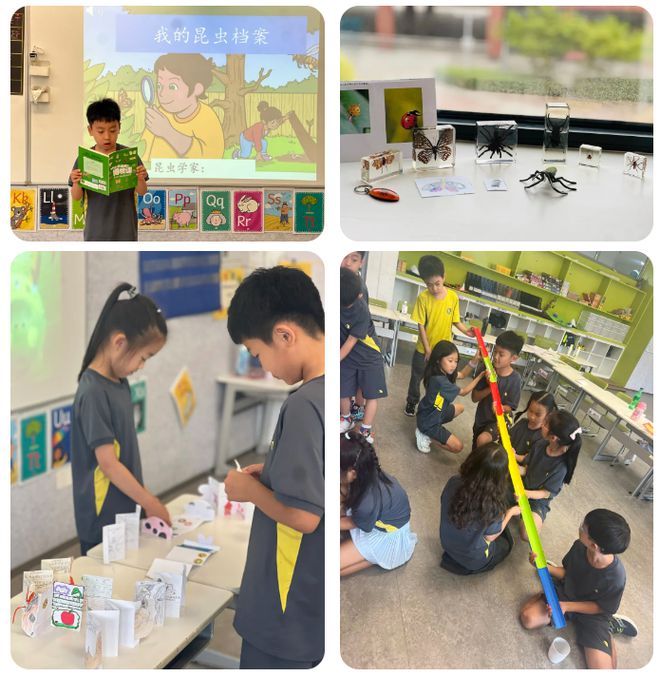 教育观察朝阳小学英语_朝阳区小学英语教材版本_小学英语教学观察