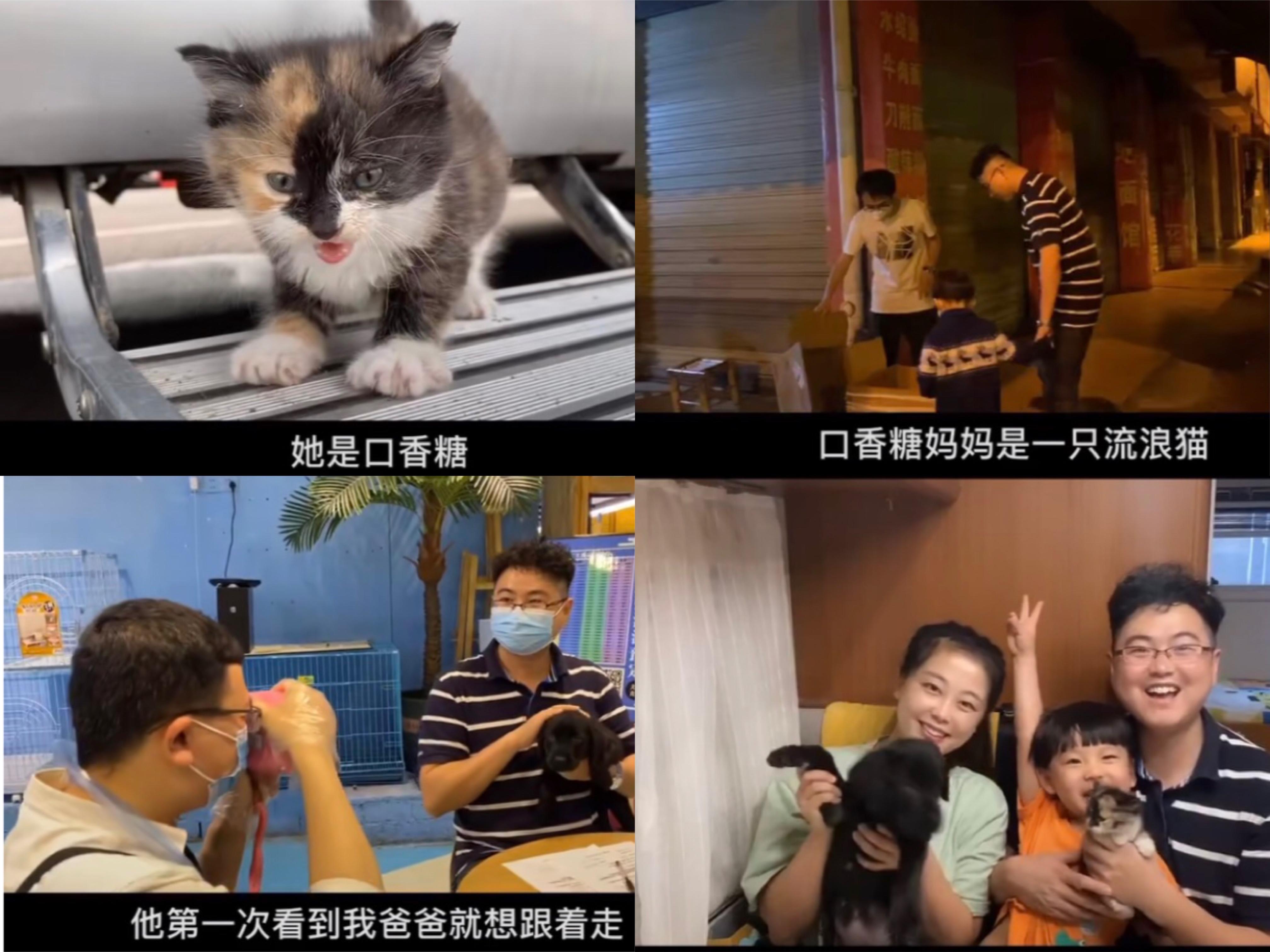 房车生活技能博主_房车博主靠什么收入_房车生活纪实视频