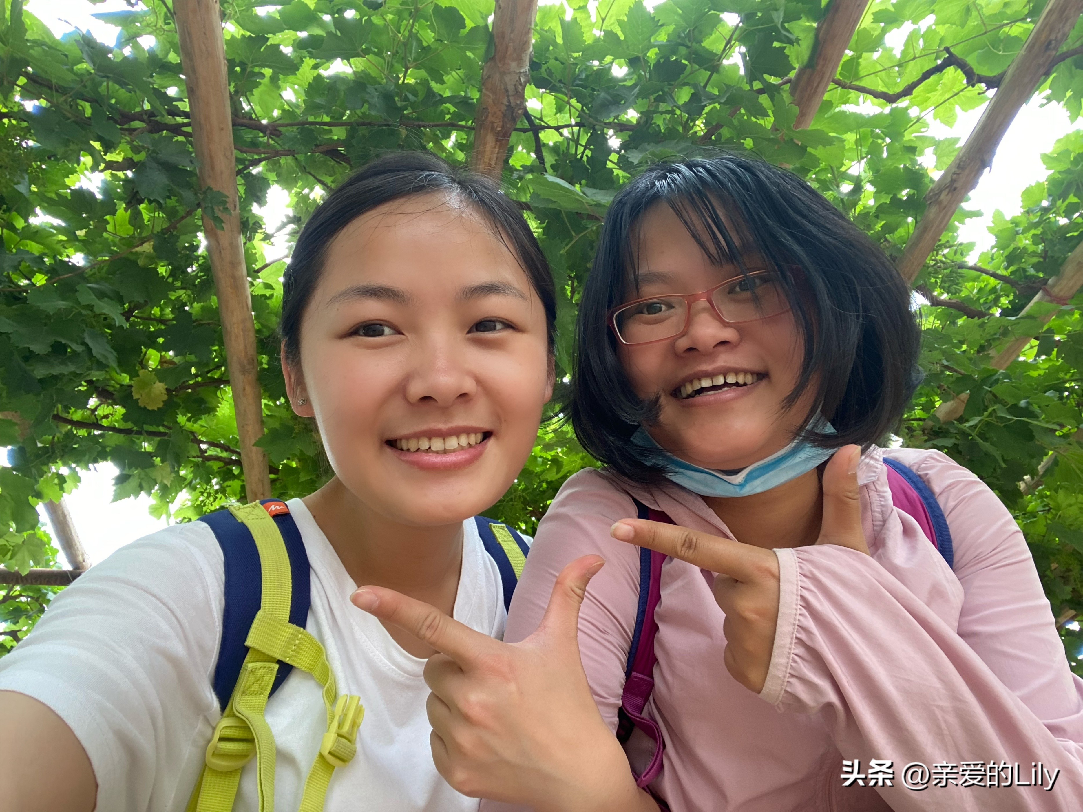 房车专业知识_房车博主不犯法吗_房车生活技能博主