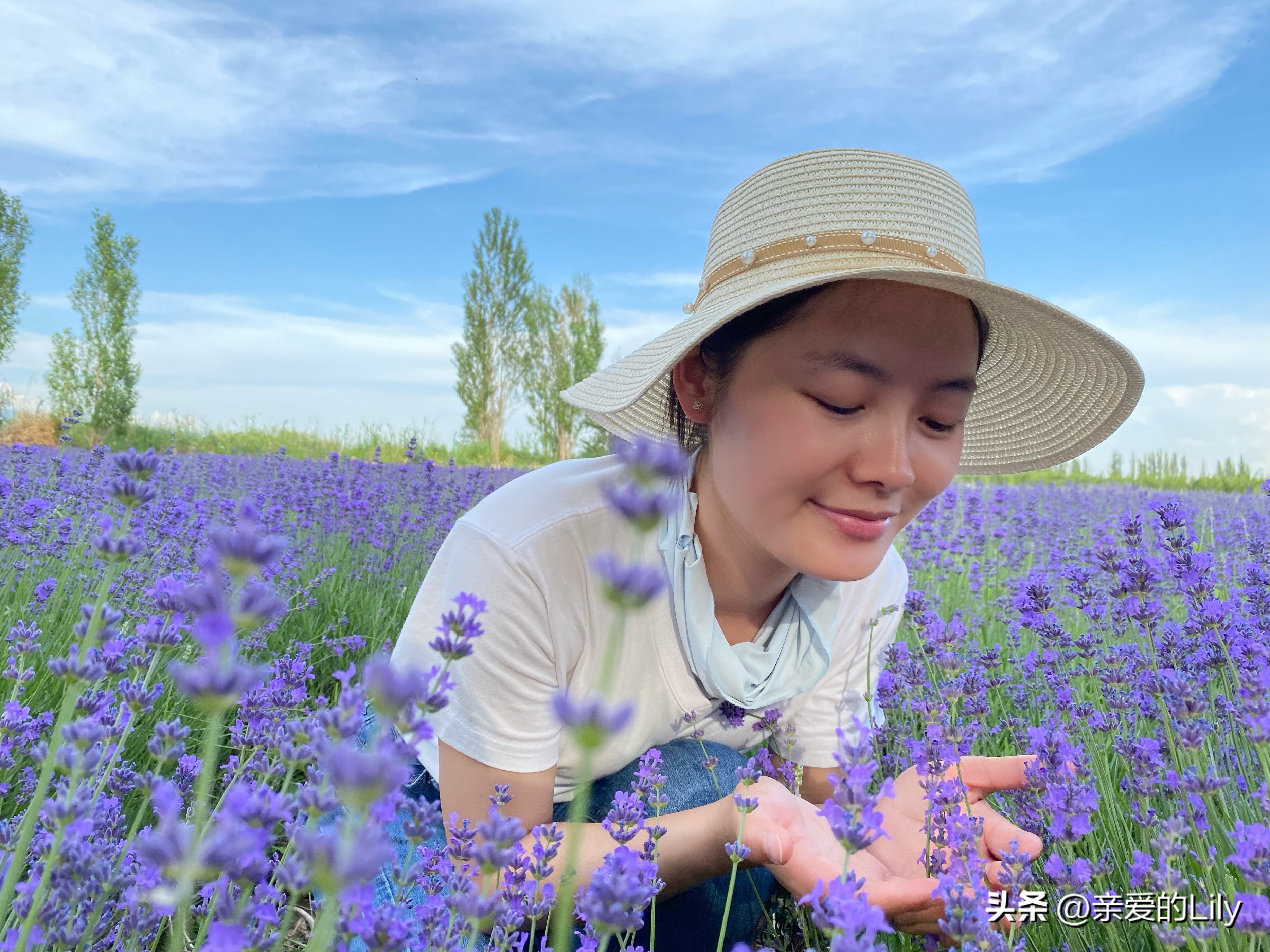 房车生活技能博主_房车专业知识_房车博主不犯法吗